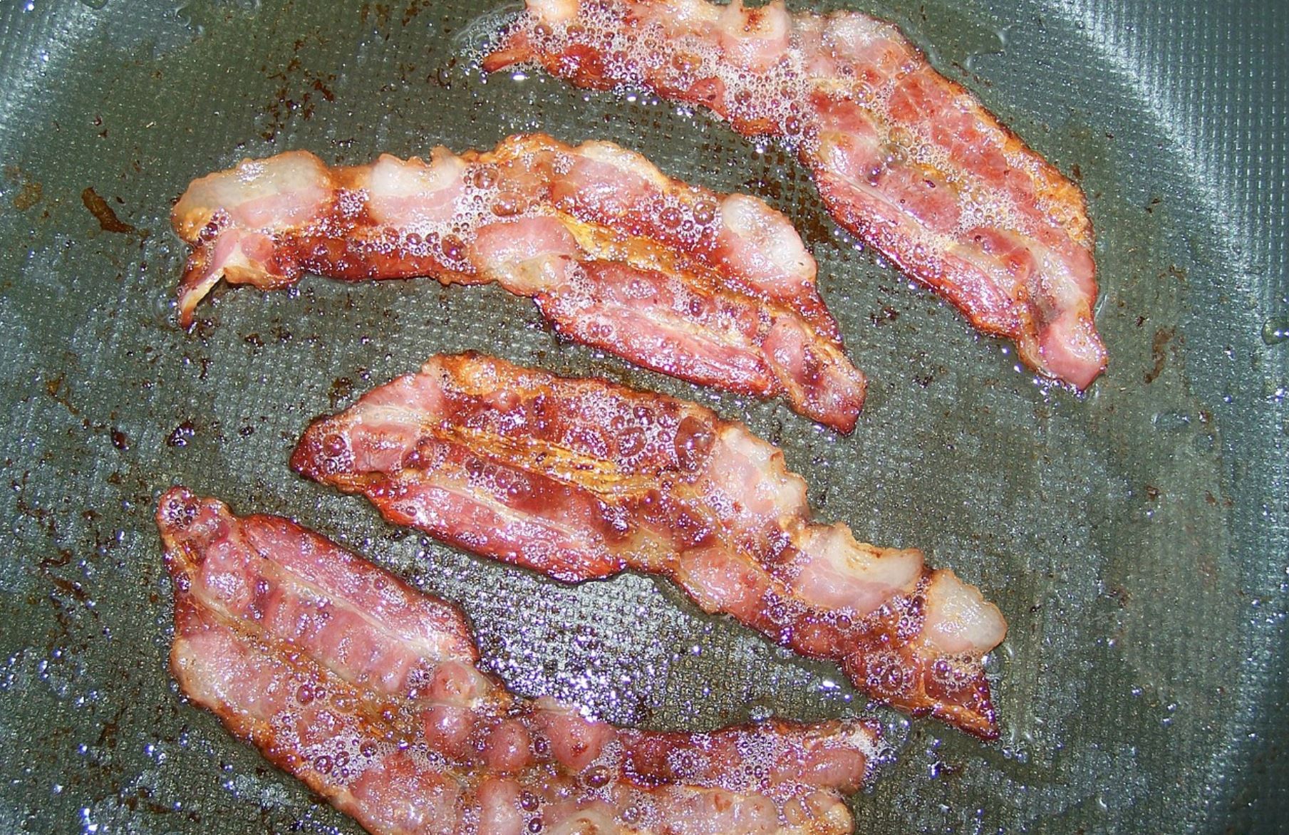 Pancetta Travelmundi