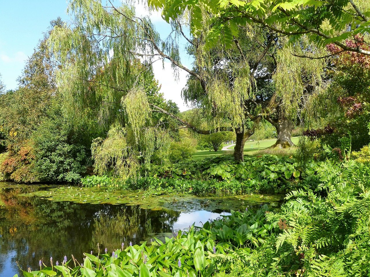 Giardino Travelmundi