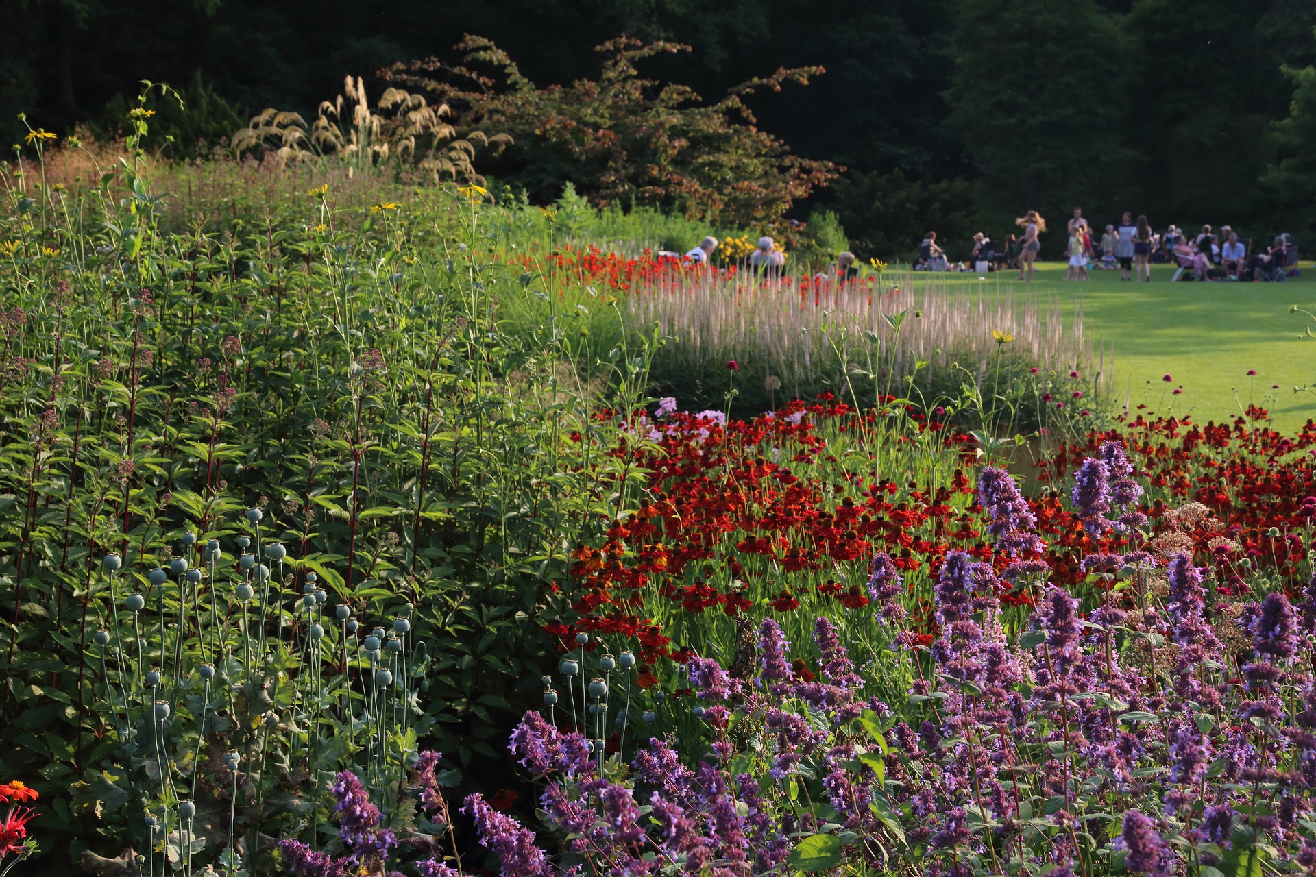 Giardino