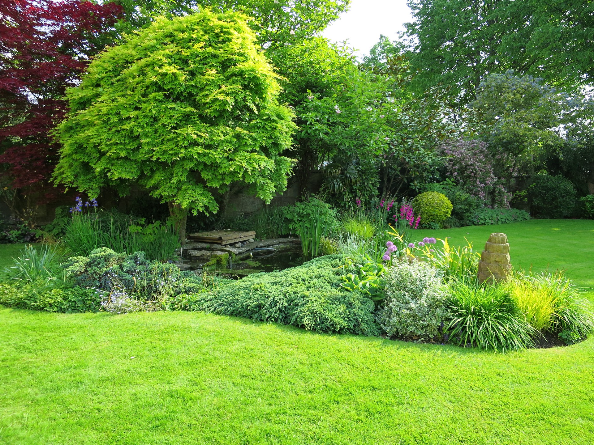 Giardino