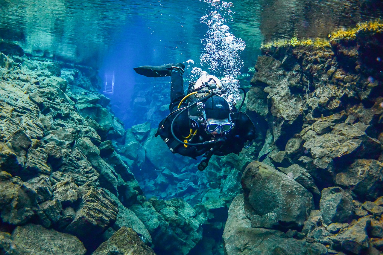 Sub Travelmundi