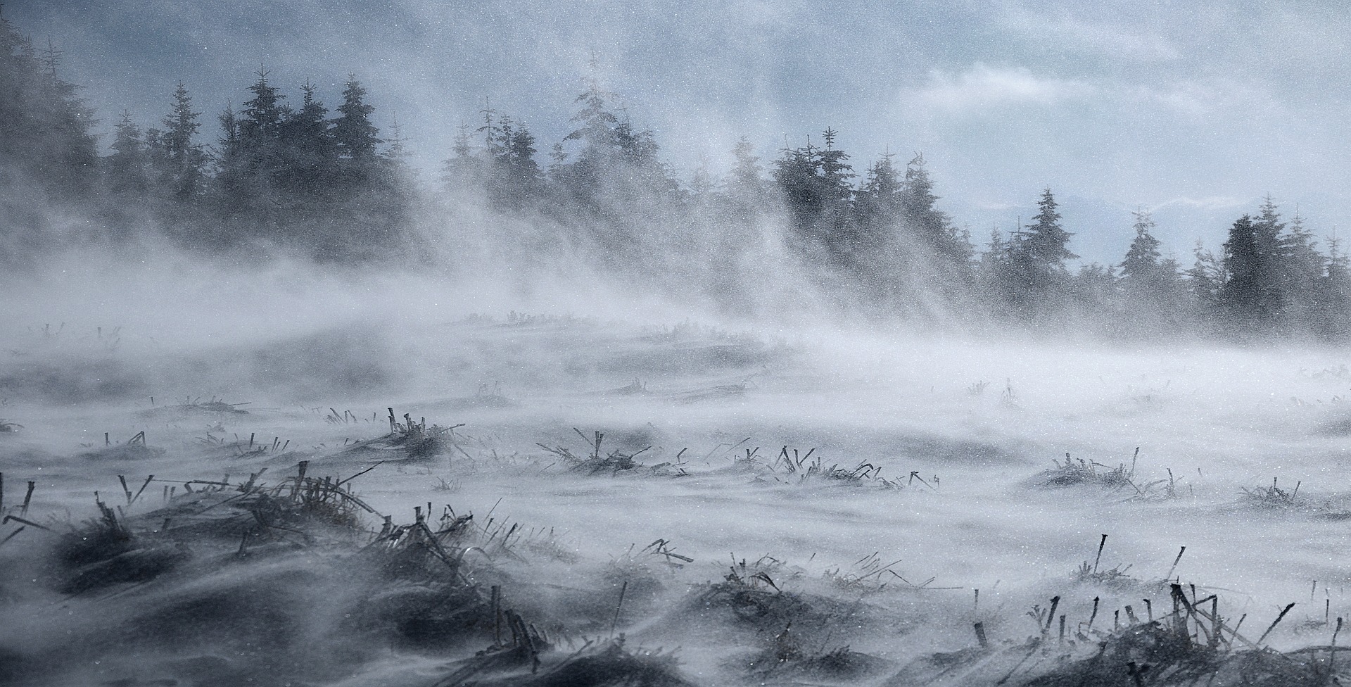 Neve
