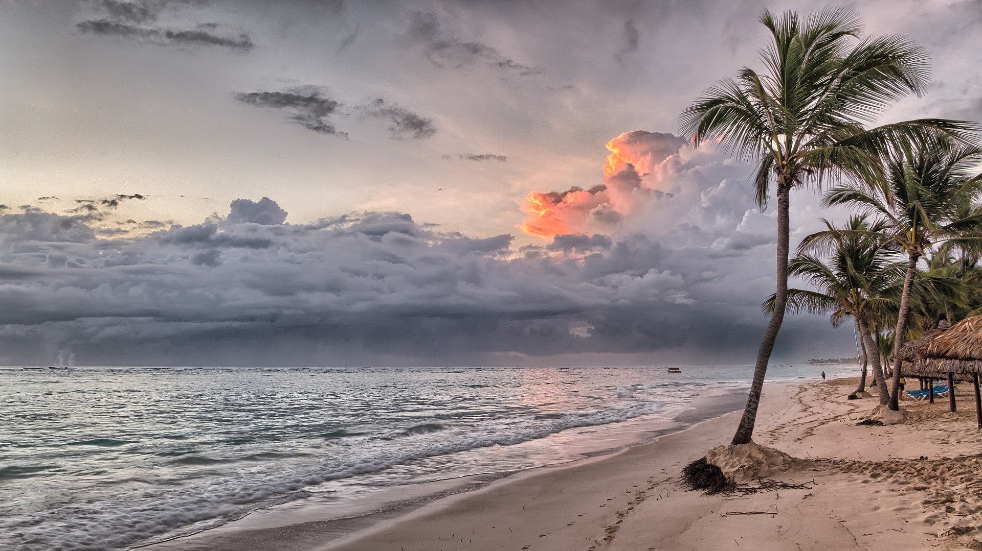 Caraibi