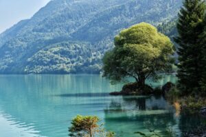 Trentino Travelmundi