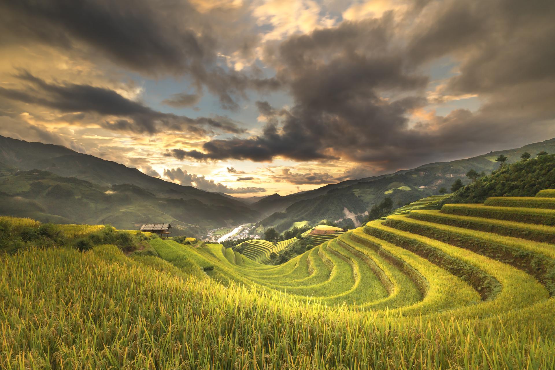 Vietnam
